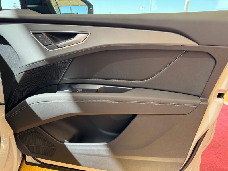 
								AUDI Q5-40 etron full									