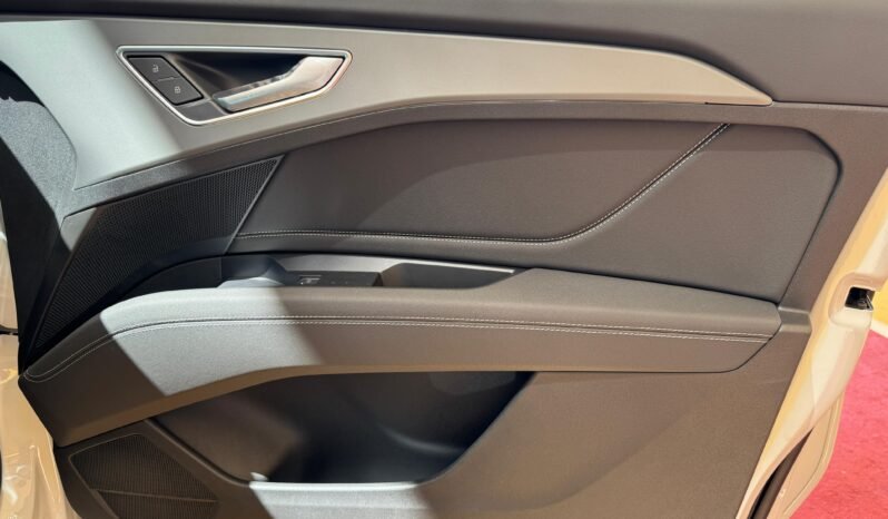 
								AUDI Q5-40 etron full									