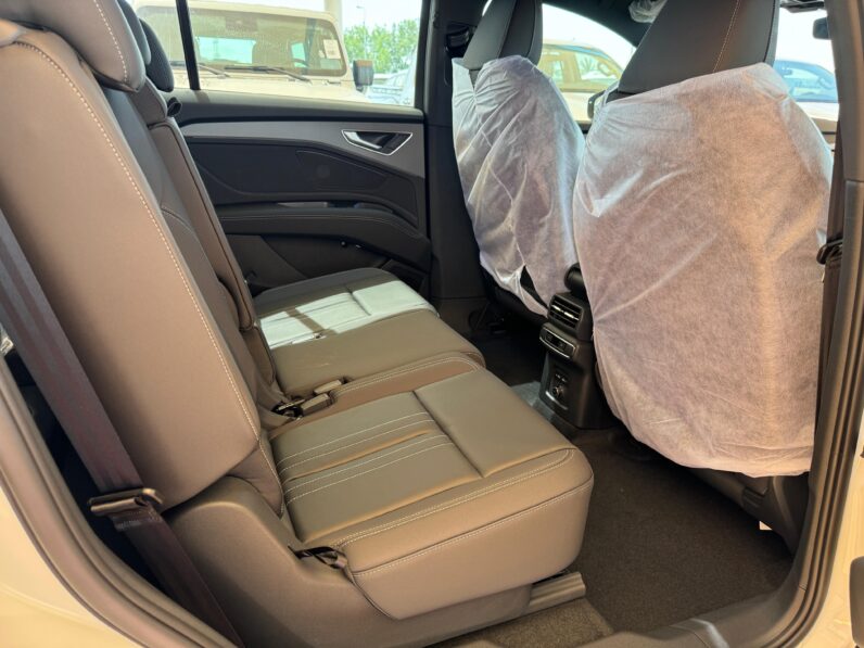 
								AUDI Q5-40 etron full									