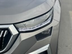 
										SKODA KODIAQ 4WD full									
