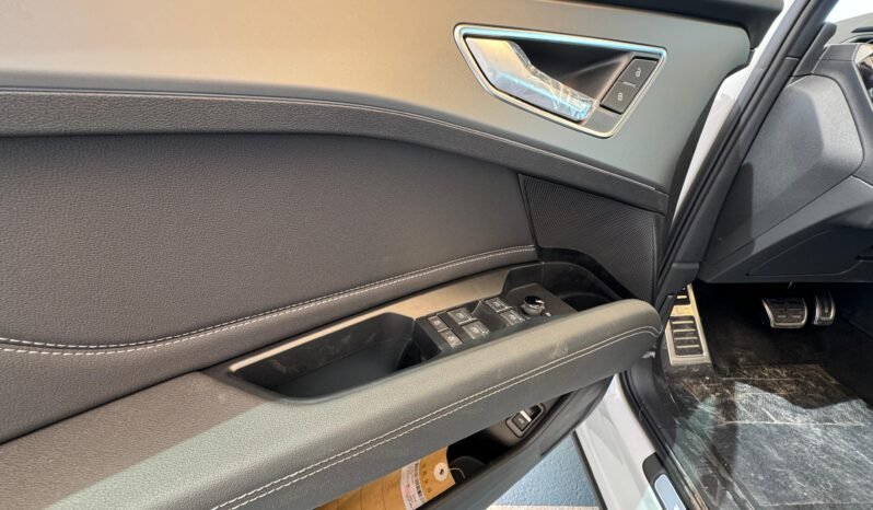 
								AUDI Q5-40 etron full									