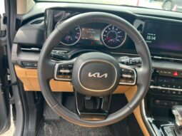 
										kia carnival full									